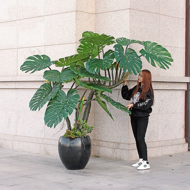 假树仿真树室内装饰滴水观音大型植物盆景客厅摆件假绿植落地盆栽