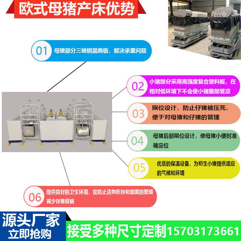 母猪产床双体2.5热镀锌产保一体猪用分娩床仔猪保育欧式母猪产床