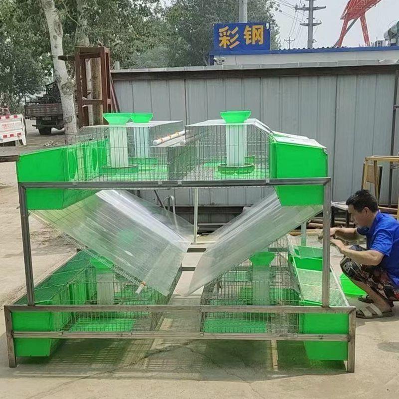 新款厂家欧式母兔笼大型养殖场专用笼具新型自动清粪养兔设备