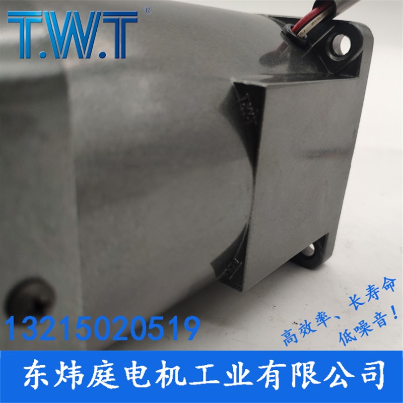 TWT电机 120W三相电机5IK120GN-YF  5IK120GU-SF 台湾东炜庭电机
