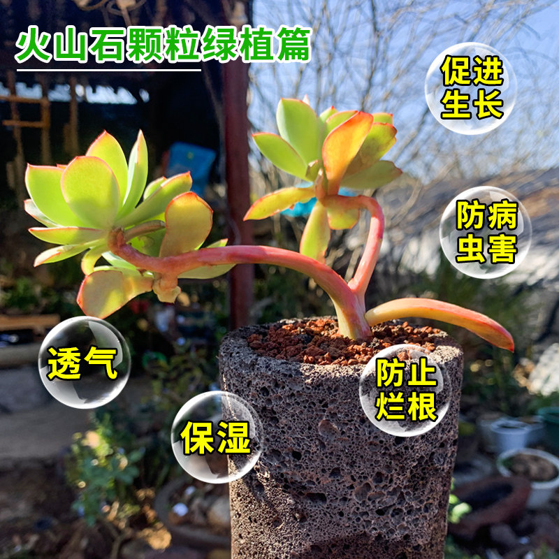 火山石颗粒100斤腾冲天然火山岩多肉铺面拌土鱼缸过滤造景营养土