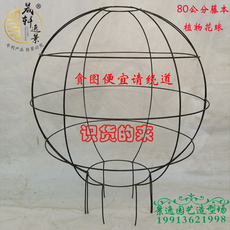 蔷薇花苗欧月月季爬藤藤本植物立体景观球形球状花球花柱花架骨架