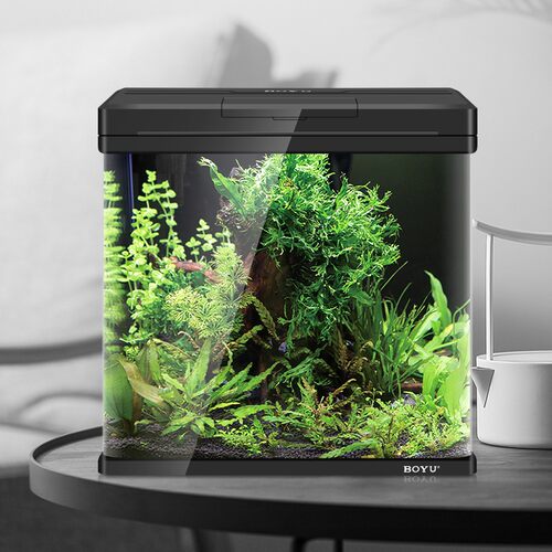 博宇鱼缸水族箱小型迷你桌面生态造景免换水玻璃金鱼草缸家用客厅