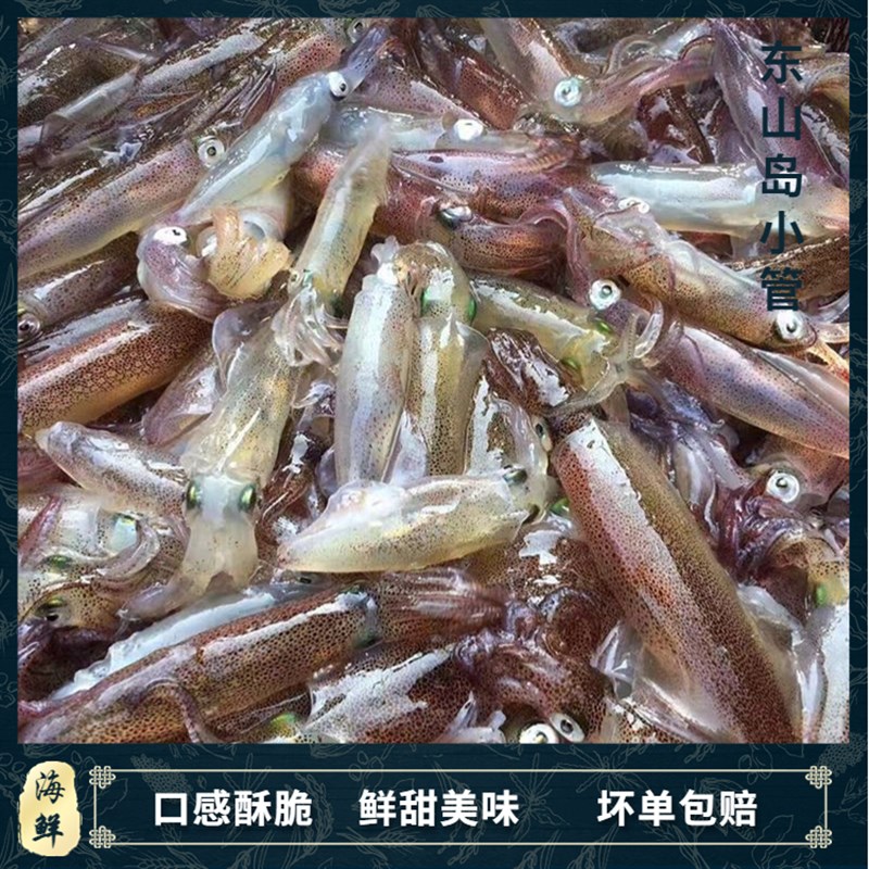 东山岛本港灯光照鲜活活冻小管冷冻笔直水产海鲜三盒包邮冰鲜鱿鱼