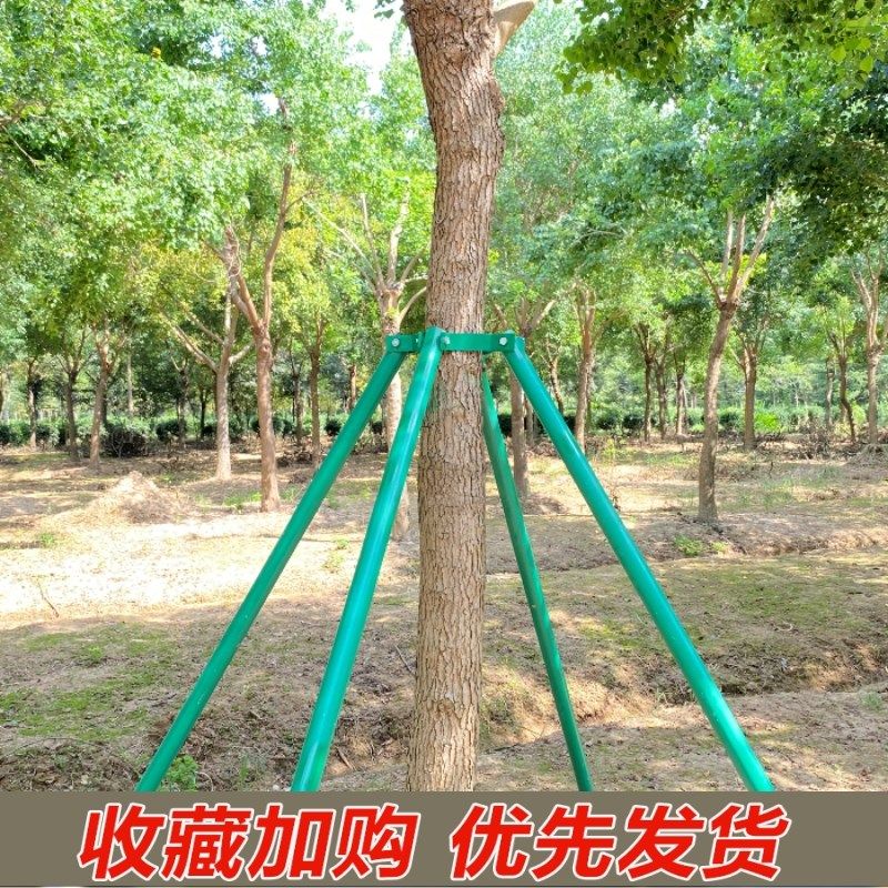 钢管树木支撑架园艺固定器园林防风大树支撑杆绿化苗木支架树撑
