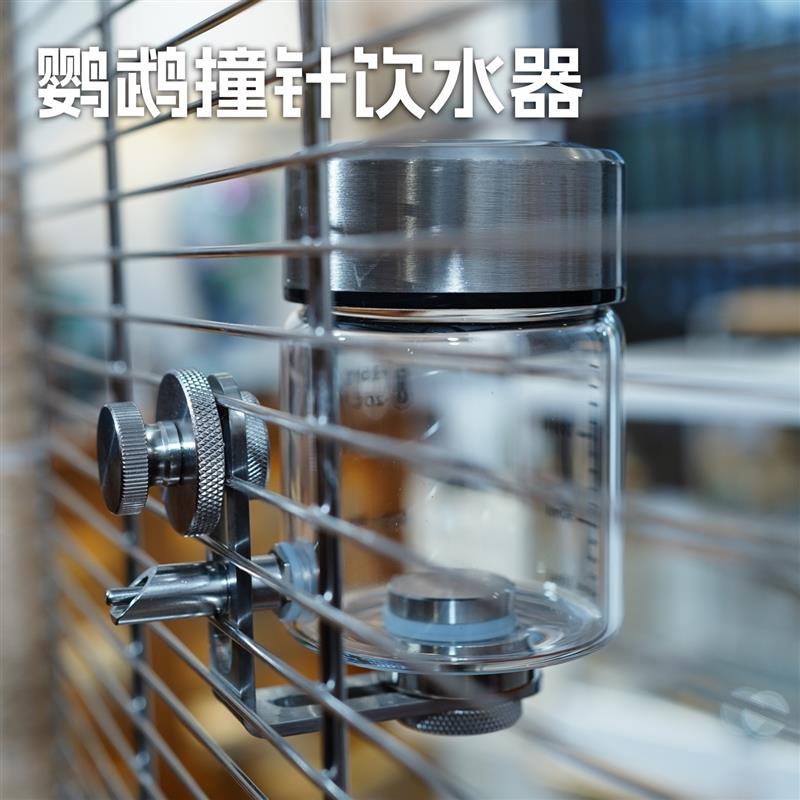 鹦鹉撞针饮水器磁吸玻璃鸟用自动喂水器八哥龙猫水壶新款鸟笼配件