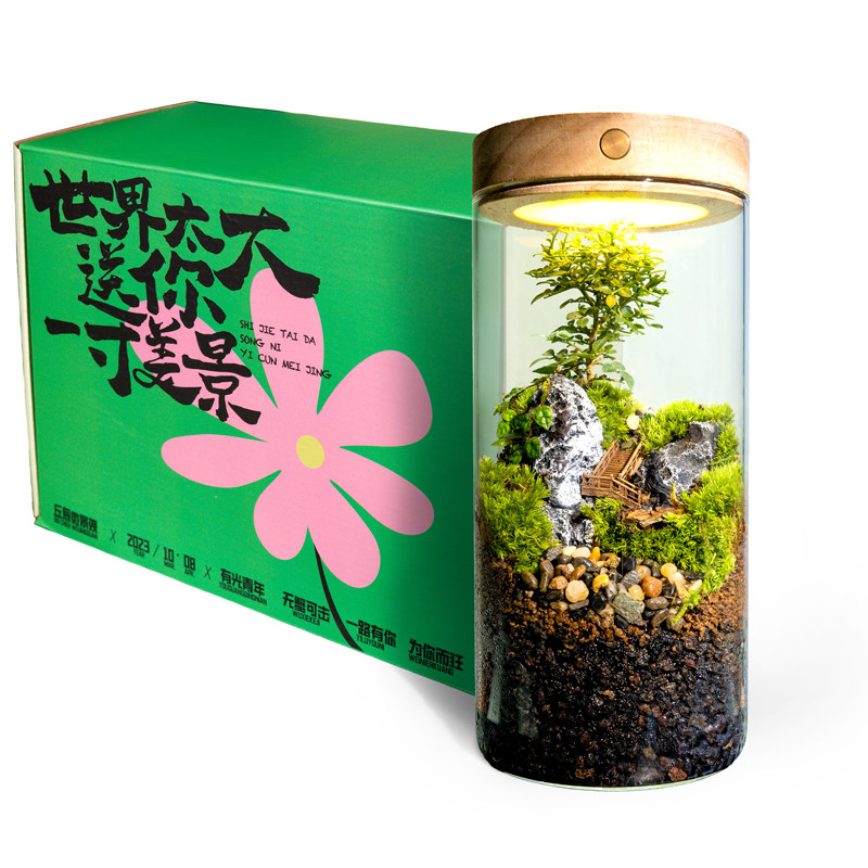丘辰青苔藓微景观生态瓶办公室内桌面鲜活绿植DIY造景盆栽小摆件