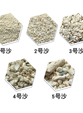 蓝色珍品海缸珊瑚沙海沙12 3 4 5号菲律宾沙子天然珊瑚砂 珊瑚骨
