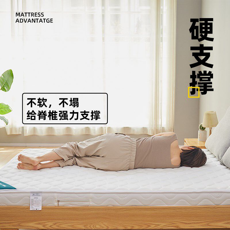 地铺睡垫棕垫床垫子天然椰棕公寓专用护脊神器防潮加硬垫薄厚定制