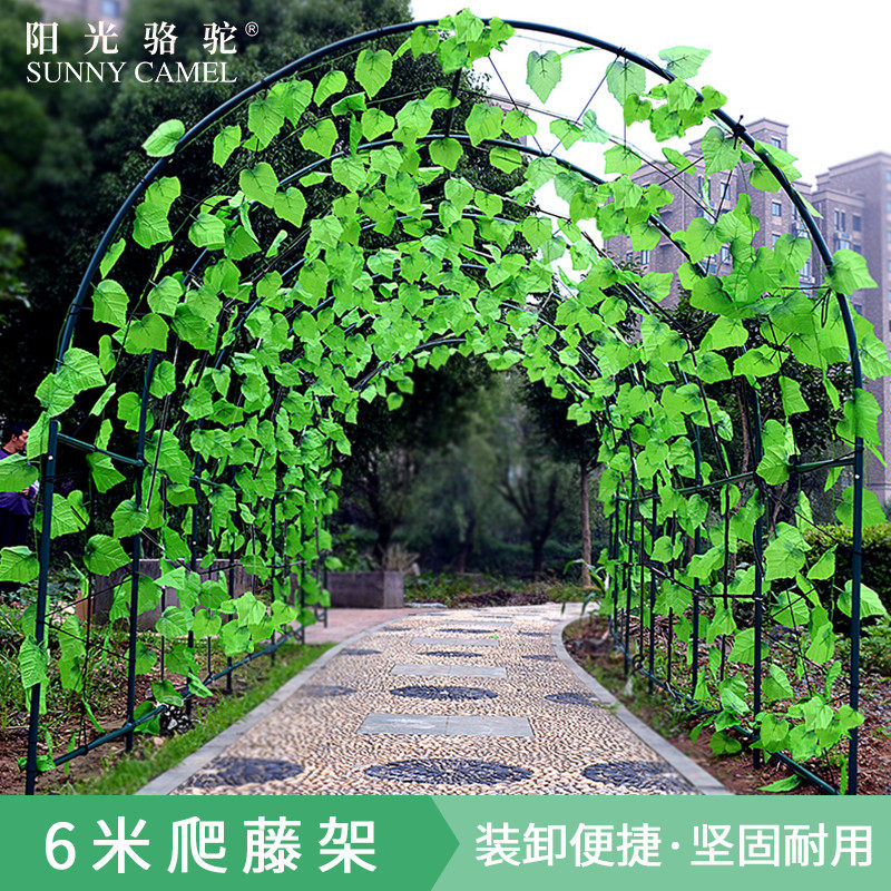 6米钢管植物爬藤架子园艺支架百香果蔷薇葡萄架楼顶种菜大棚骨架