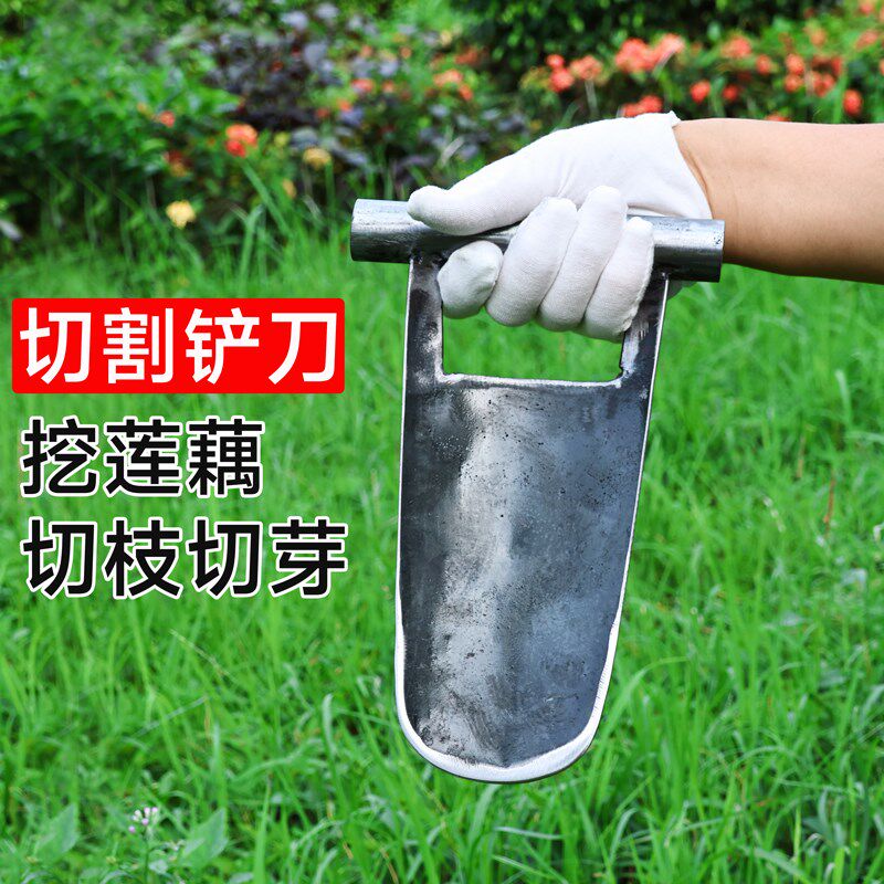 铲刀挖莲藕铲香蕉除芽铲修树铲切菜手铲挖菜种植工具农用老式铁铲