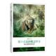 90后获奖佳作 第十五届新概念作文 飞扬 省登宇 社公司 正版 国际文化出版 新书