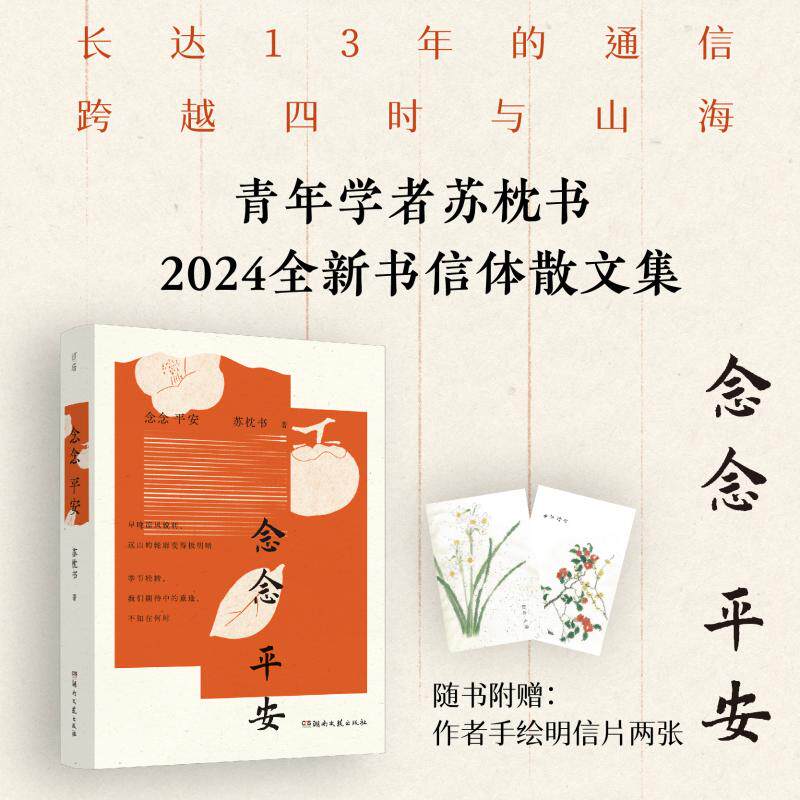 正版新书 念念平安 苏枕书 著 湖南文艺出版社