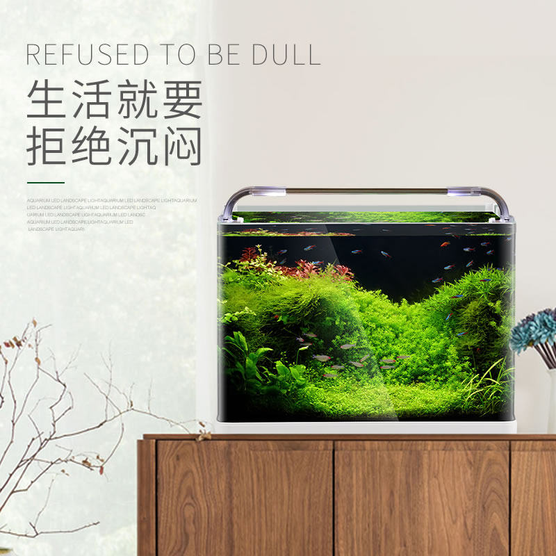 森森热弯鱼缸生态金鱼缸小型水族箱超白玻璃套装含灯过滤器