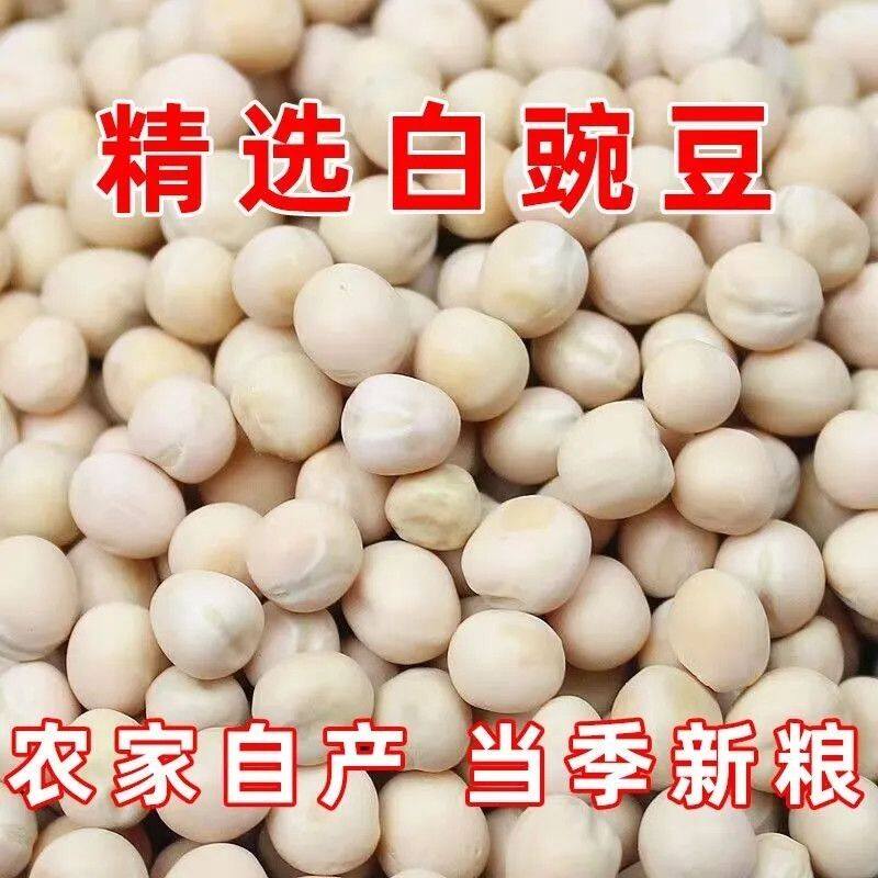 白豌豆生豌豆干颗粒饱满豌豆粒干货豌杂面商用杂粮豌豆