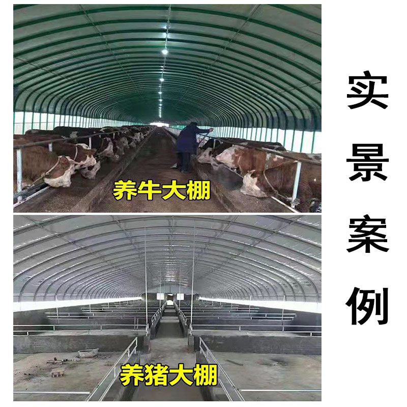 养殖大棚骨架钢管全套温室蔬菜保温养鸡场鸭鹅兔猪舍牛圈羊棚搭建