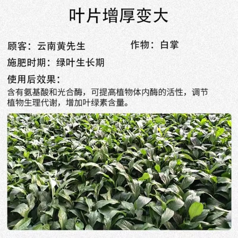 沃根绿叶彭果钾大生根壮苗水溶肥料高钾果树蔬菜专用膨果海藻高磷
