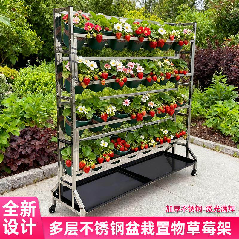 不锈钢花架草莓架室内外家用盆栽架阳台可移动花卉立体种植架多层