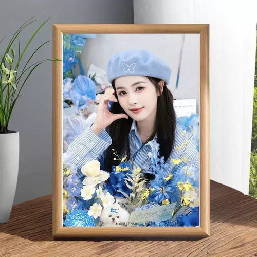 白鹿满钻带框钻石画粉丝礼物
