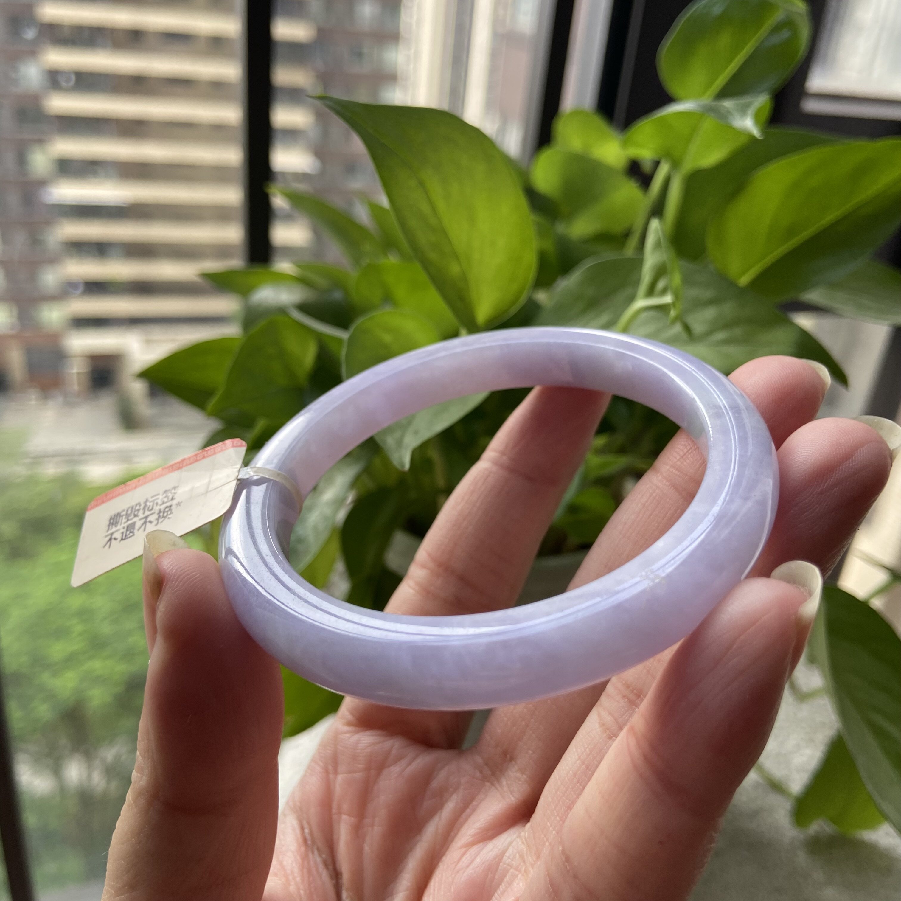 天然A货紫罗兰淡春彩翡翠手镯