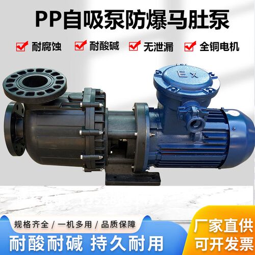 长美防爆自吸泵PP卧式大头泵电动塑料防爆排污泵耐酸碱提升马肚泵