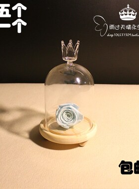 永生花DIY材料包玻璃罩空罩制作永生花玻璃摆件带七彩灯暖白包邮