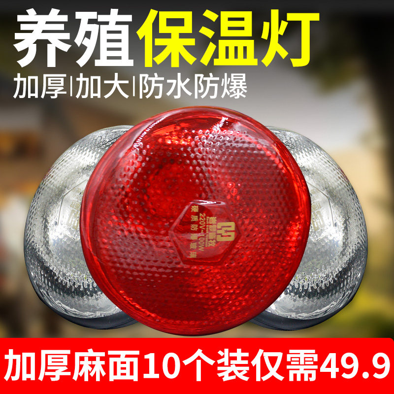 保温灯养殖场专用养猪设备小鸡育雏鹦鹉芦丁鸡保温灯泡用加热灯泡