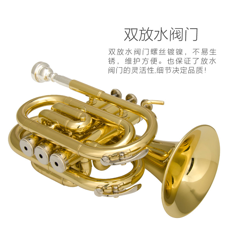 津宝 手掌号JBMT-500 便携式小号 降B调袖珍短号 铜管乐器 新品