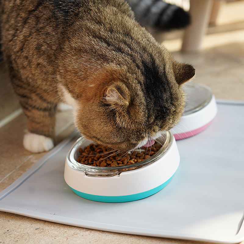 猫碗玻璃食盆加菲猫专用扁脸碗保猫狗碗/慢食碗