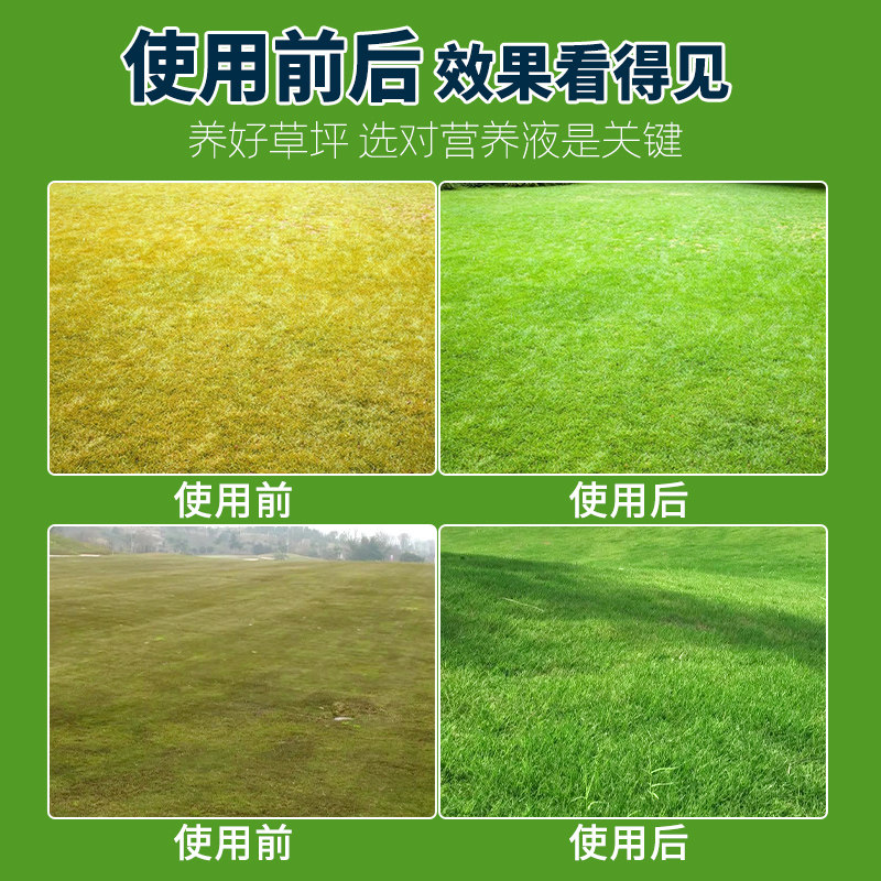 草坪增绿剂专用营养液有机肥料植物生根液绿化养护草皮返青活力素