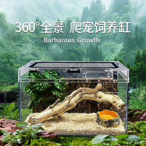守宫鬃狮蜥角蛙蛇寄居蟹乌龟饲养缸爬宠造景爬虫缸雨林专用饲养盒