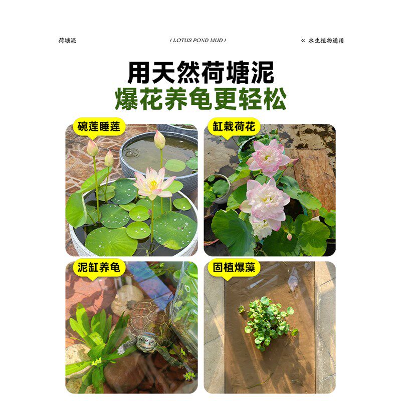 天然荷塘泥碗莲专用土睡莲铜钱草水生植物营养土荷花泥生态养龟缸