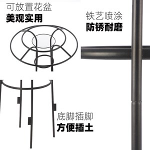 伞形花架家庭园艺铁艺铁架户外爬藤架室外花园花架铁线莲花支架子