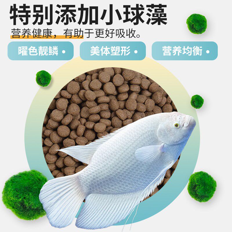 绘彩招财鱼饲料地图鱼战船热带鱼鱼食发财鱼白招财观赏鱼专用鱼粮