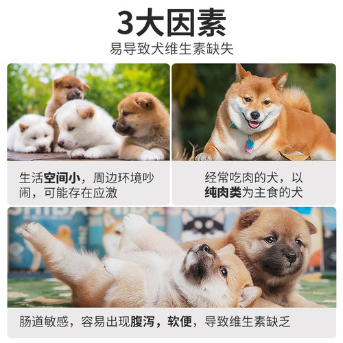 狗狗复合维生素b猫咪防掉毛狗狗营养补充剂宠物专用多种维生素片
