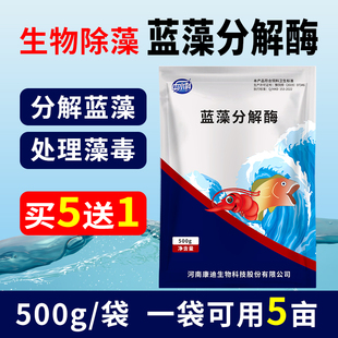 蓝藻分解酶分解素鱼虾蟹塘水产养殖专用速灭蓝藻净鱼池生物除藻剂