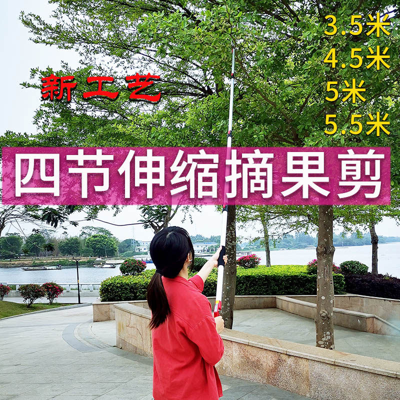 摘果剪高枝剪摘柚子果树采柿子5.5米龙眼修枝伸缩高空加长摘果器