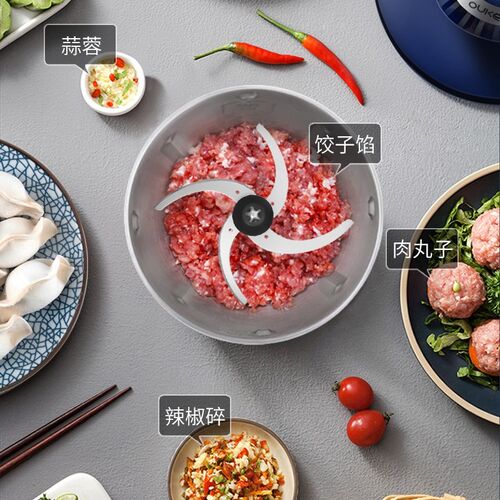 欧科绞肉机家用2升多功能小型不锈钢打肉馅饺子碎菜搅拌料理机
