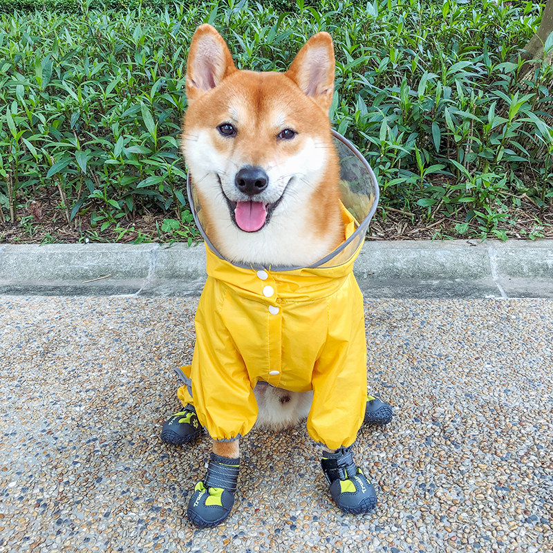 柴犬狗狗雨衣狗狗四脚防水衣服柯基泰迪雪纳瑞雨披小型犬雨天衣服