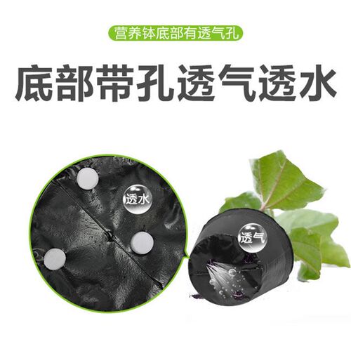 育苗袋一次性黑色营养钵育苗杯塑料营养杯营养袋大号育苗盆薄杯