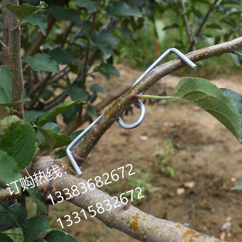 永德助果树拉枝神器定型器通用M型别枝器S扣开角器压枝弯枝夹包邮