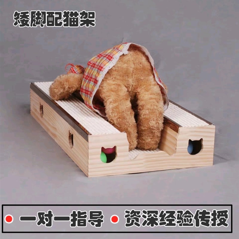 矮脚猫配猫架母猫侧躺配种工具公猫配猫神器板增高借配木架踏板