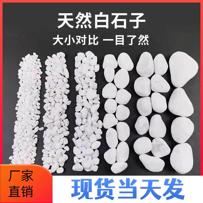 石子原石造景庭院大小石子碎石白石子鹅卵石铺地白色石头装饰铺路