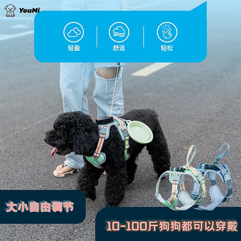 雷姐一体自动伸缩牵引绳大中小型犬防爆冲胸背带大型犬防挣脱包邮
