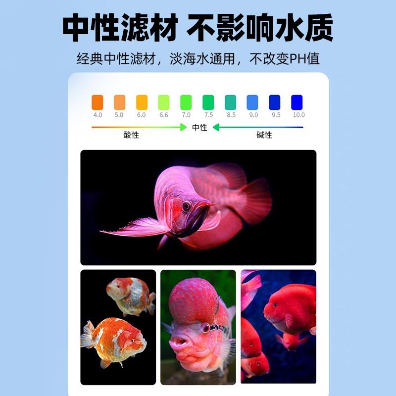 细菌屋鱼缸过滤材料石英滤材陶瓷环净水培菌硝化细菌水族