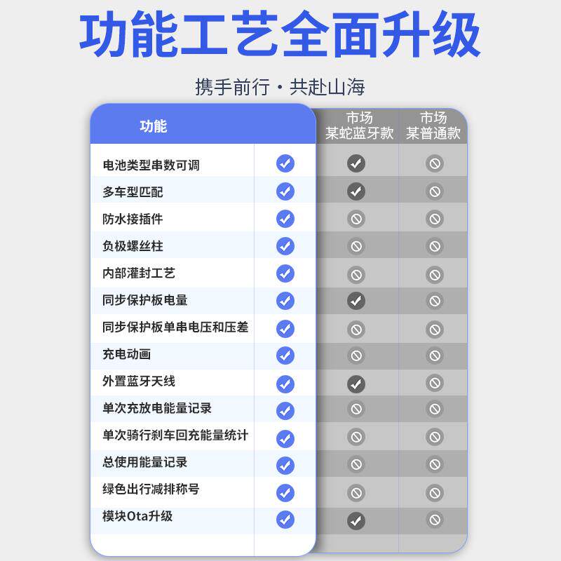 蓝宝蓝牙电量计Pro极核电池模块AE4AE5电池通信模块铅酸换锂电