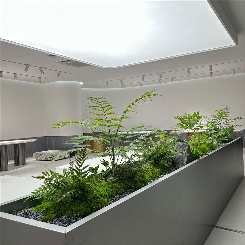 仿真绿植蕨类小植物假苔藓隔断装饰景观商场洒店餐厅花槽花箱摆件