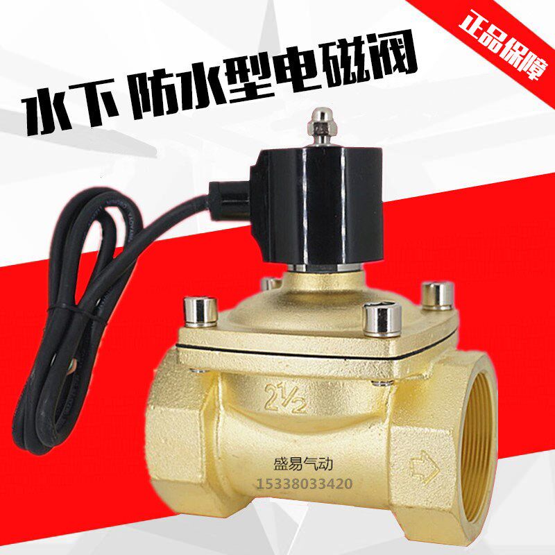 水下喷泉跳泉 2寸半防水电磁阀水阀开关阀 DN65 气阀AC220V DC24V