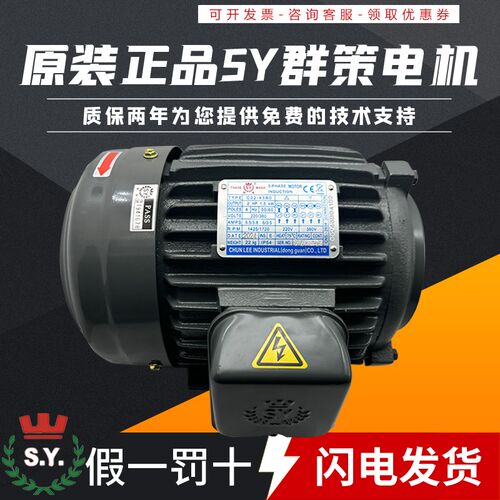 SY台湾群策C01-43B0电机02 03 04 05油泵0.75KW马达1.5 2.25 3.75