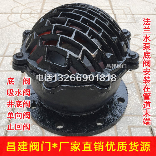 H42X 水泵底阀单向阀止回阀莲蓬头DN50 80 100 150 200